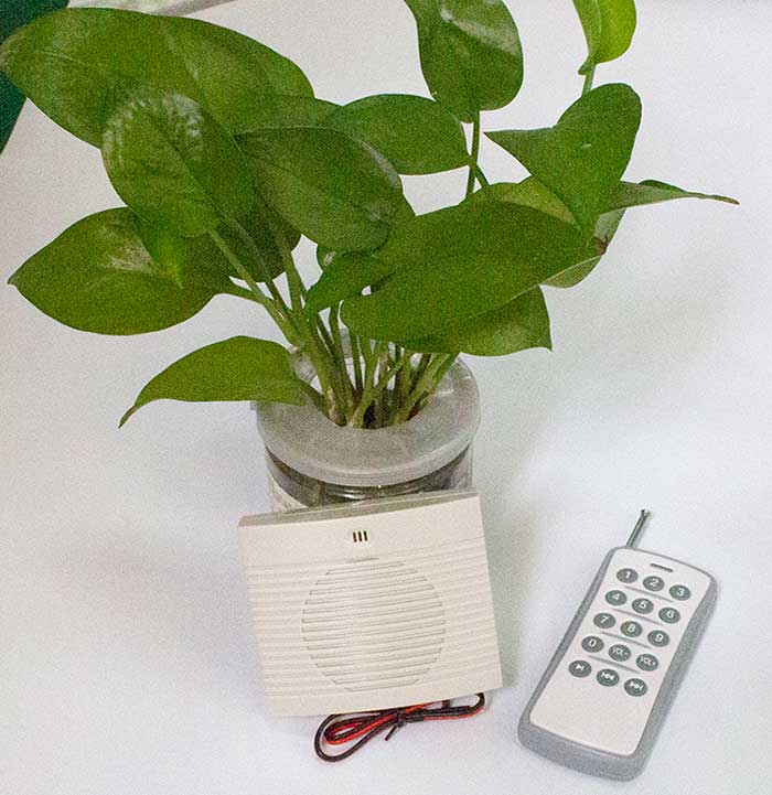 �������ع滮